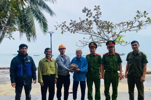 Tê tê quý hiếm bò vào nhà dân ở đảo Cù Lao Chàm