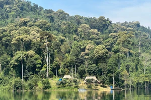 Bộ đội, Công an TP Đà Nẵng cùng chung tay bảo vệ Vườn quốc gia Sông Thanh