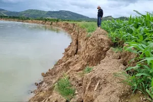 Đắk Lắk loay hoay tìm nguyên nhân sạt lở bờ sông Krông Nô