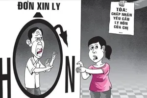 Đang xác minh vụ vợ ra tòa ly hôn để lộ tin chồng giao cấu với trẻ em
