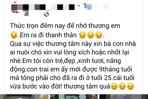 Cô gái trẻ tử vong vì tông trúng chó thả rông trên đường