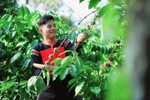 Giám đốc người Ê Đê gọi vốn 5 tỉ đồng phát triển cà phê rang khói