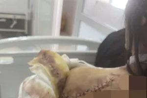 Một phụ nữ lên mạng xã hội cầu cứu vì bị hàng xóm truy sát