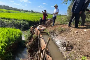Đắk Lắk: Kênh thủy lợi bị sập, người dân nối ống nhựa dẫn nước cứu lúa