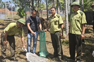 Đi làm rẫy, người dân phát hiện con trăn dài hơn 4m và ổ trứng 