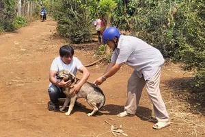 Khó thở khi uống nước, một thanh niên tử vong do bệnh dại