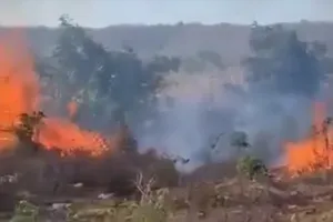 Đám cháy xảy ra gần cây xăng, chính quyền phải nhờ cảnh sát dập lửa