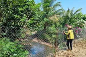 Nước thải chưa xử lý từ khu công nghiệp tràn ra môi trường 