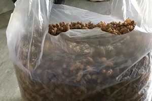 Rộn ràng chợ online mua bán xác ve sầu