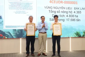 Cà phê trồng trên đất rừng không được nhập khẩu vào châu Âu