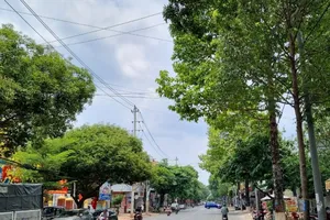 Bộ Công an đề nghị Đắk Lắk, Đắk Nông cung cấp hồ sơ liên quan đến Công ty TNHH Cây xanh Công Minh