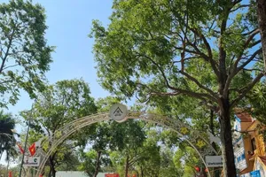 Buôn Ma Thuột yêu cầu cung cấp hồ sơ các dự án cây xanh không chỉ liên quan công ty Công Minh