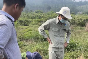 Chủ trại heo bị phạt gần 500 triệu vì xả nước thải bẩn ra môi trường