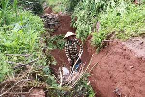 Chủ tịch hội nông dân xã bị nước cuốn tử vong: Hệ thống thoát nước kém