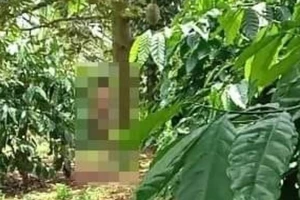 Người đàn ông không mặc quần áo, tử vong bên gốc sầu riêng