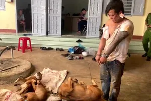 Chủ nhà bị đâm trọng thương khi bắt kẻ đánh bả để trộm chó