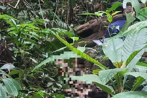 Hé lộ nhân thân của thi thể nữ giới ở đèo Phượng Hoàng