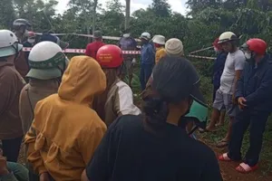 Đắk Lắk: Thi thể người đàn ông trong tư thế treo cổ được phát hiện trong rẫy cà phê