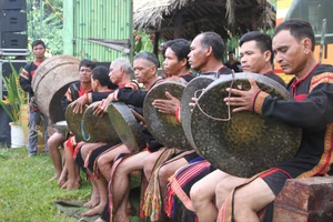 Hơn 600 nghệ nhân tham gia liên hoan văn hóa cồng chiêng ở Buôn Ma Thuột
