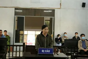 Cựu thủ quỹ Trường Chính trị tỉnh Đắk Lắk bị phạt 3,5 năm tù 