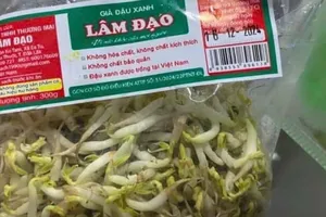 Vụ giá đỗ chứa chất cấm ở Đắk Lắk: Đơn vị cấp giấy chứng nhận nói gì?