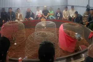Công an tỉnh Đắk Lắk bắt 50 người tham gia cá cược đá gà