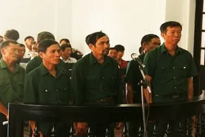 Đã chấp hành án xong nhưng 6 cựu chiến binh vẫn kiên trì kêu oan trong vụ án phá rừng 