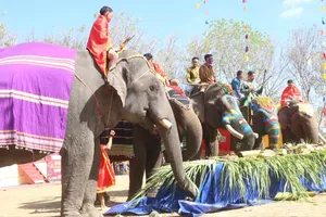 Du khách uống rượu cần, chụp hình cùng voi tại Hội voi Buôn Đôn