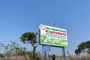 Yêu cầu chủ tịch xã rút kinh nghiệm vụ 'khai tử' hộ kinh doanh đang hoạt động