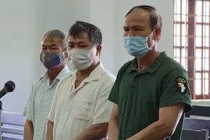 8 năm chưa xử lý xong vụ phá rừng, 3 người điêu đứng vì vướng vòng lao lý 