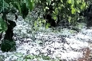 Video mưa đá trắng xóa nương rẫy, hàng chục ha cây trồng bị thiệt hại