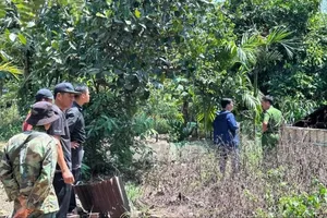 2 người tử vong nghi bị điện giật khi bơm nước cho vịt