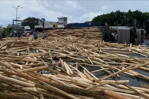 Lật xe chở gỗ đè trúng thiếu niên 14 tuổi đang đi bộ 