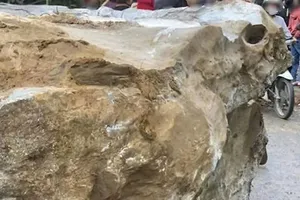 Cháu bé 2 tuổi bị đá trên đồi rơi trúng, tử vong