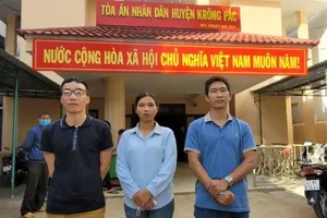 Yêu cầu báo cáo gấp vụ chậm thi hành án đối với 6 giáo viên thắng kiện