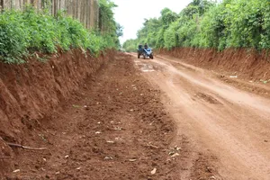 Người múc đất đường đang thi công ở Đắk Lắk nói gì?