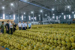 Thủ phủ sầu riêng chưa có phòng xét nghiệm đủ điều kiện để xuất khẩu