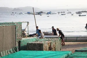 Đắk Lắk: Đưa 92 hộ dân lên chùa và trường học để tránh bão số 13 Kalmaegi