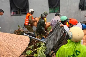Bí thư chi đoàn ở Đắk Lắk tử vong do sạt lở gây sập tường