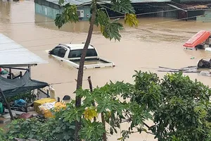 Đắk Lắk: Hơn 50 công nhân thi công cao tốc kêu cứu vì bị lũ cô lập