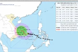 Đắk Lắk cảnh báo 2 kịch bản của bão số 15 khi vào đất liền