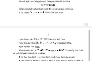 Xử phạt 2 người đàn ông mạo danh phóng viên