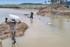 Sông Krông Ana đẻ nhánh mới, đường vào cánh đồng 450 ha bị xói lở