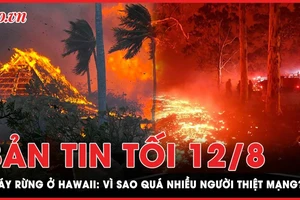 Bản tin tối 12-8: Vì sao cháy rừng ở Hawaii lan quá nhanh, nhiều người thiệt mạng?