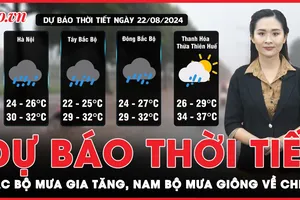 Dự báo thời tiết 22-8: Bắc Bộ mưa gia tăng, Nam Bộ mưa giông về chiều tối