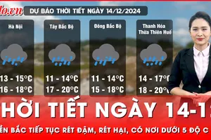 Dự báo thời tiết ngày 14-12: Miền Bắc chìm trong rét đậm, rét hại, nhiệt độ giảm sâu dưới 5 độ C