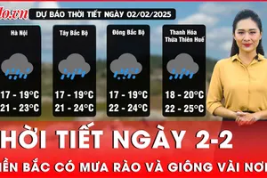 Dự báo thời tiết ngày 2-2: Miền Bắc có mưa rào và giông vài nơi, miền Nam nắng ráo
