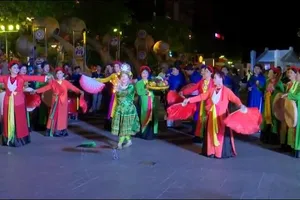 Người dân TP.HCM nô nức xem hội ba miền