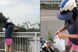 Camera ghi cảnh một phụ nữ trộm cây nơi công cộng