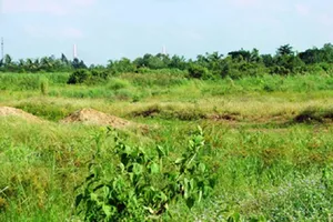 Đã có quy định chi tiết về hành vi hủy hoại đất đai